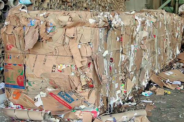 aparas-de-papelao-vicchiatti-ambiental